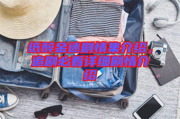 紙醉金迷劇情集介紹，追劇必看詳細(xì)劇情介紹