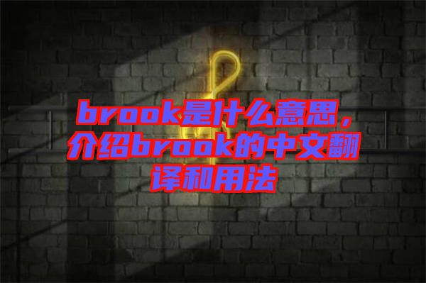 brook是什么意思，介紹brook的中文翻譯和用法