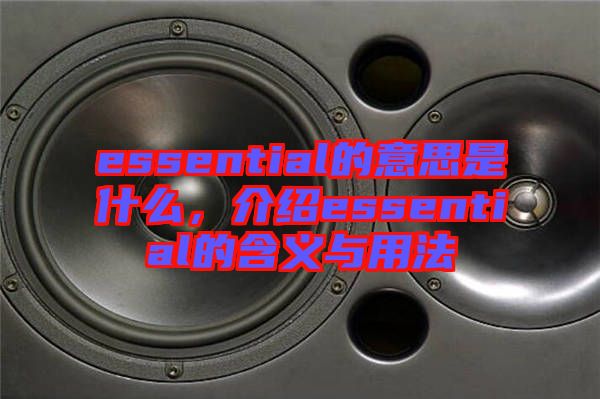 essential的意思是什么，介紹essential的含義與用法