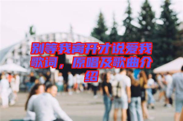 別等我離開才說愛我歌詞，原唱及歌曲介紹