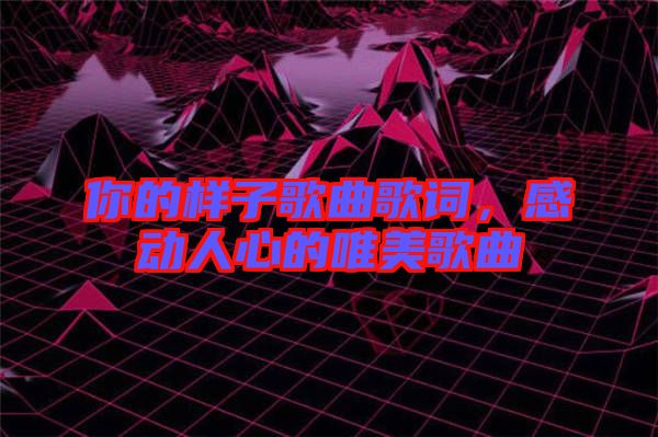 你的樣子歌曲歌詞，感動(dòng)人心的唯美歌曲