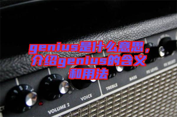 genius是什么意思，介紹genius的含義和用法