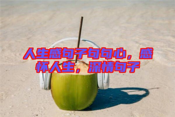 人生感句子句句心，感懷人生，深情句子