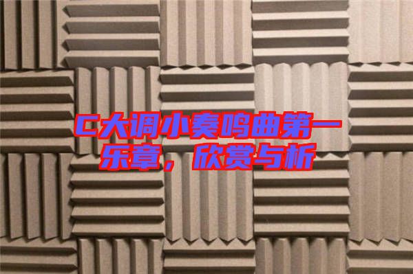 C大調(diào)小奏鳴曲第一樂章，欣賞與析