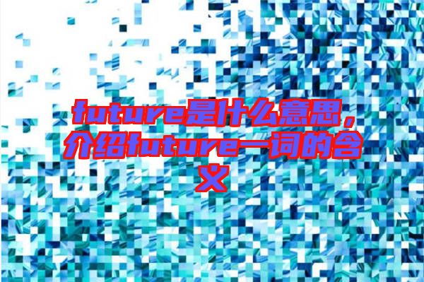 future是什么意思，介紹future一詞的含義