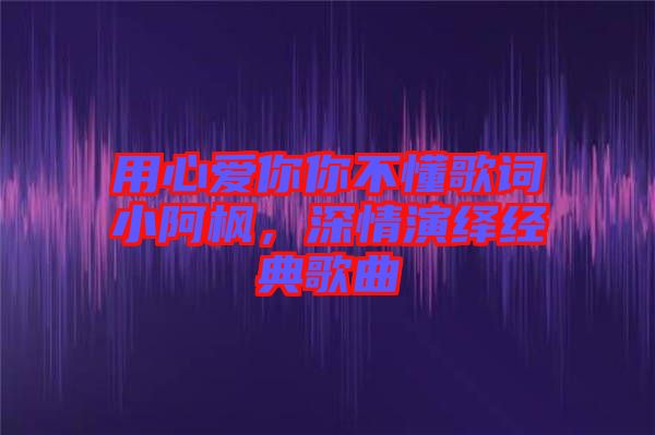 用心愛你你不懂歌詞小阿楓，深情演繹經(jīng)典歌曲