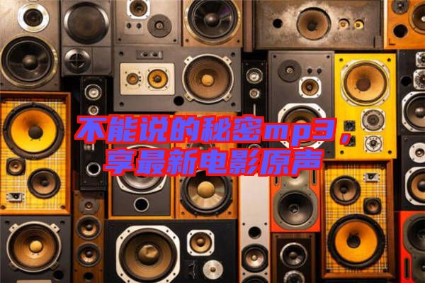 不能說的秘密mp3，享最新電影原聲