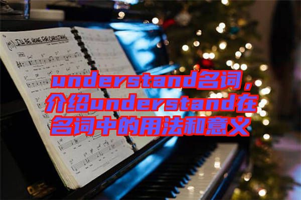 understand名詞，介紹understand在名詞中的用法和意義