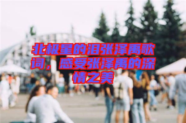北極星的淚張澤禹歌詞，感受張澤禹的深情之美