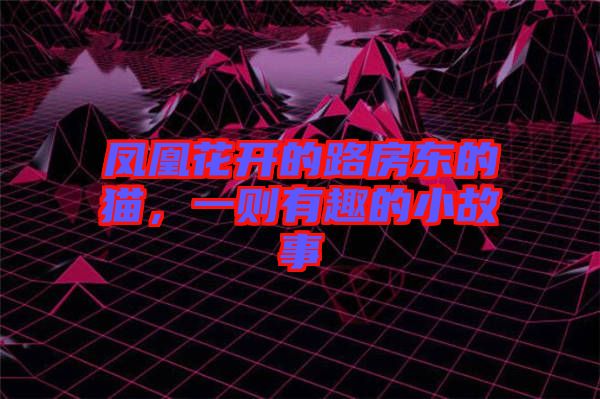 鳳凰花開的路房東的貓，一則有趣的小故事