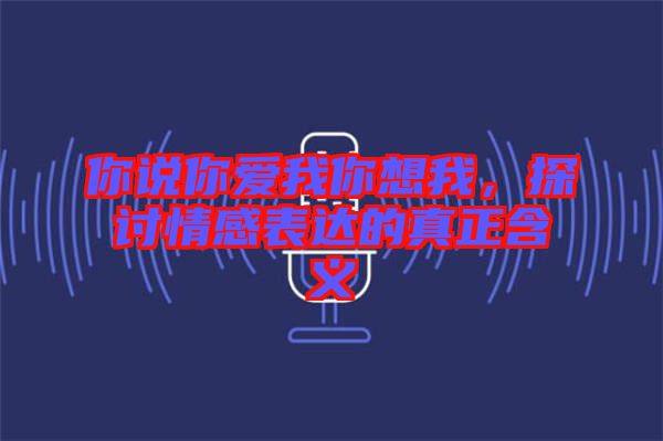 你說你愛我你想我，探討情感表達(dá)的真正含義