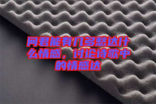問(wèn)君能有幾多愁達(dá)什么情感，討論詩(shī)歌中的情感達(dá)