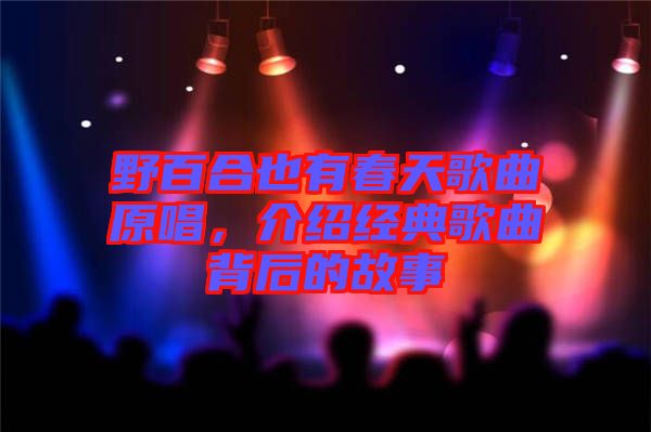 野百合也有春天歌曲原唱，介紹經(jīng)典歌曲背后的故事