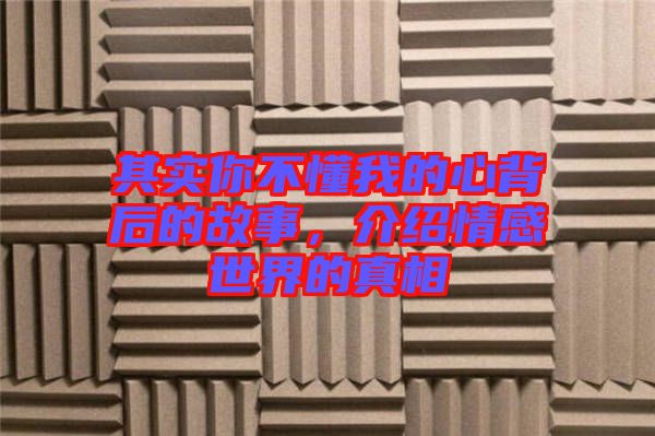 其實你不懂我的心背后的故事，介紹情感世界的真相