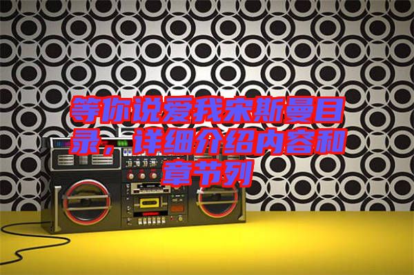 等你說愛我宋斯曼目錄，詳細介紹內(nèi)容和章節(jié)列