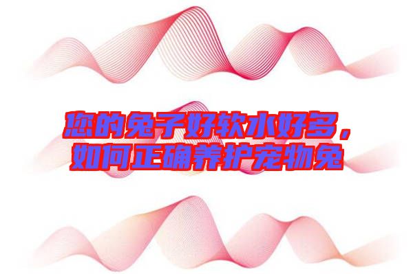 您的兔子好軟水好多，如何正確養(yǎng)護寵物兔