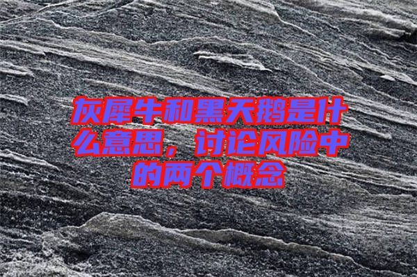 灰犀牛和黑天鵝是什么意思，討論風(fēng)險(xiǎn)中的兩個(gè)概念