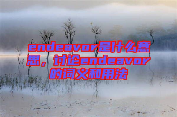 endeavor是什么意思，討論endeavor的詞義和用法