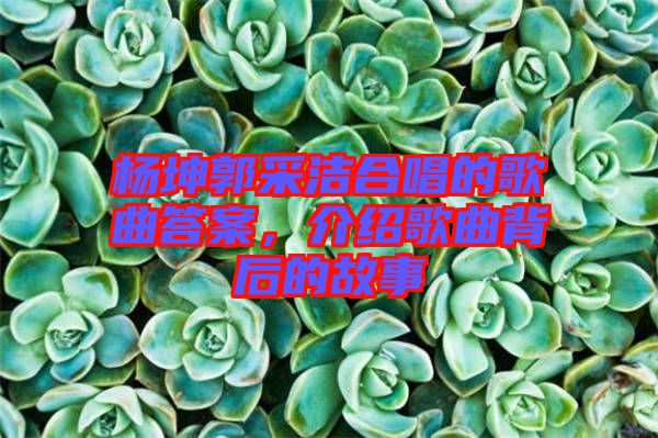 楊坤郭采潔合唱的歌曲答案，介紹歌曲背后的故事