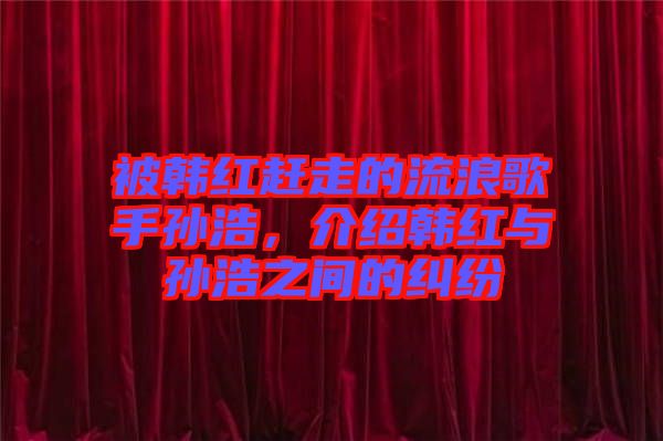 被韓紅趕走的流浪歌手孫浩，介紹韓紅與孫浩之間的糾紛