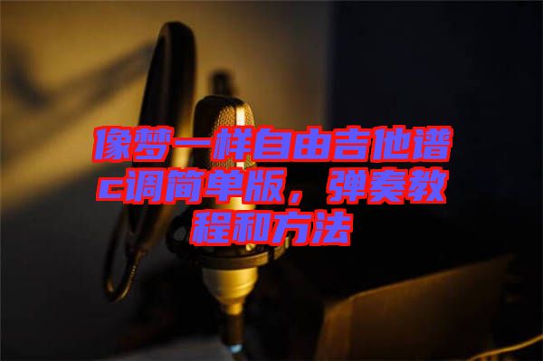 像夢(mèng)一樣自由吉他譜c調(diào)簡(jiǎn)單版，彈奏教程和方法
