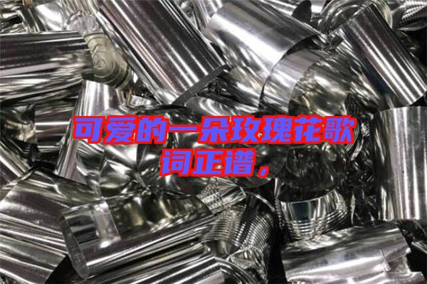 可愛的一朵玫瑰花歌詞正譜，