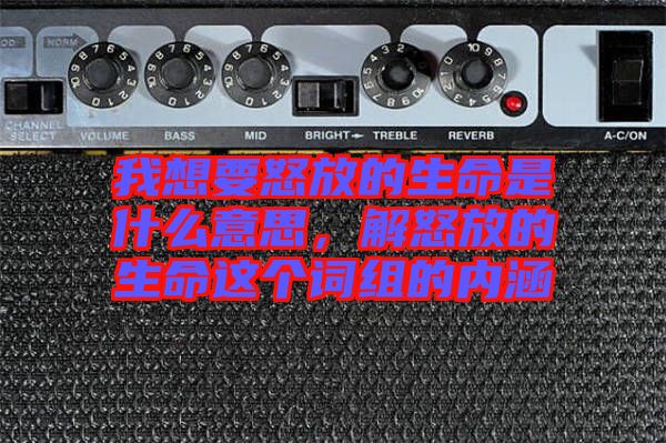 我想要怒放的生命是什么意思，解怒放的生命這個(gè)詞組的內(nèi)涵
