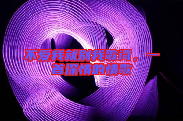 不愛我就別我歌詞，一首深情的情歌