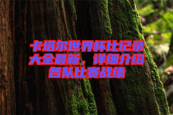 卡塔爾世界杯比記錄大全最新，詳細(xì)介紹各隊(duì)比賽戰(zhàn)績