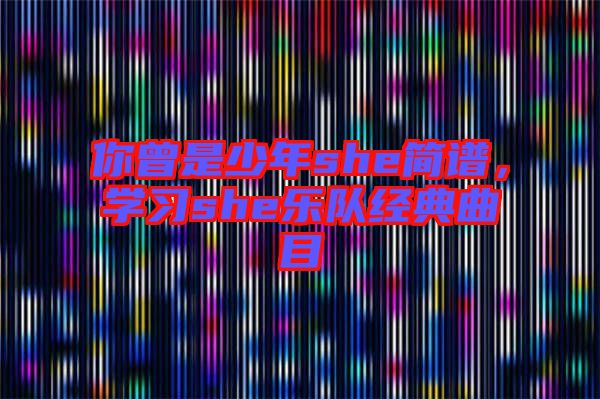 你曾是少年she簡譜，學習she樂隊經典曲目