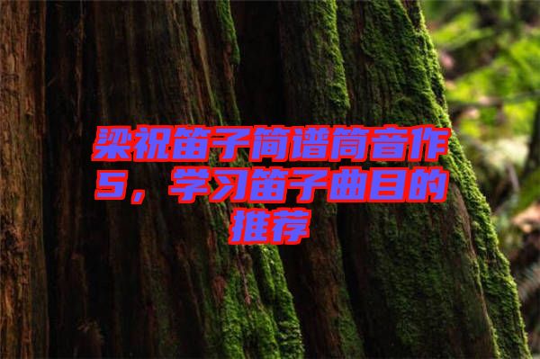 梁祝笛子簡(jiǎn)譜筒音作5，學(xué)習(xí)笛子曲目的推薦