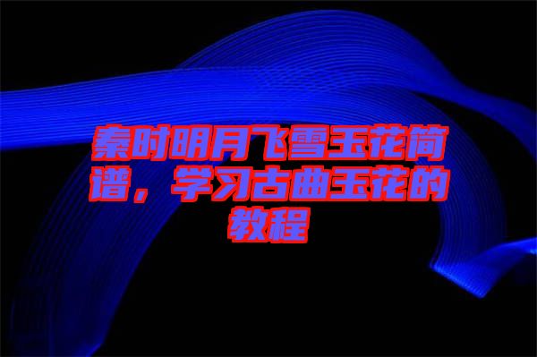秦時明月飛雪玉花簡譜，學(xué)習(xí)古曲玉花的教程