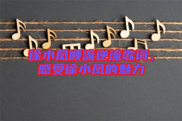 徐小鳳順流逆流歌詞，感受徐小鳳的魅力