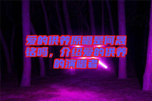 愛的供養(yǎng)原唱是何晟銘嗎，介紹愛的供養(yǎng)的演唱者