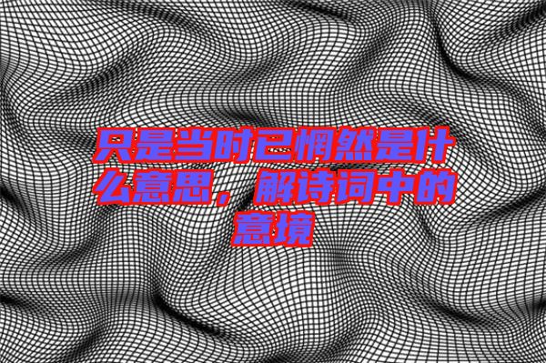 只是當時已惘然是什么意思，解詩詞中的意境
