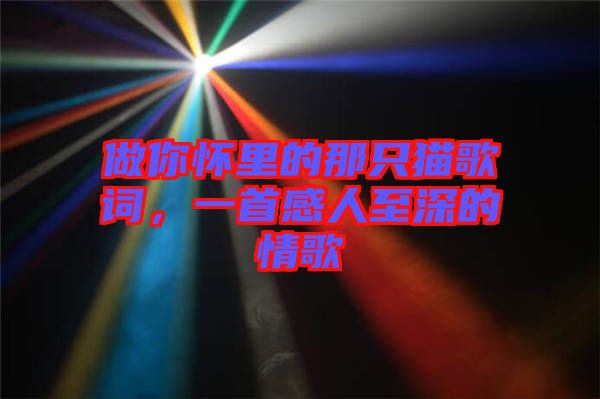 做你懷里的那只貓歌詞，一首感人至深的情歌