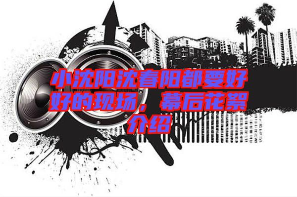 小沈陽(yáng)沈春陽(yáng)都要好好的現(xiàn)場(chǎng)，幕后花絮介紹