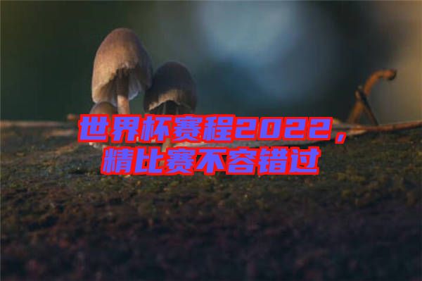 世界杯賽程2022，精比賽不容錯過