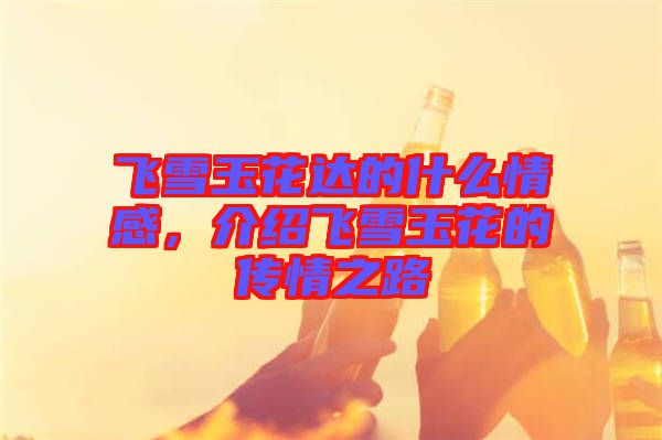 飛雪玉花達(dá)的什么情感，介紹飛雪玉花的傳情之路