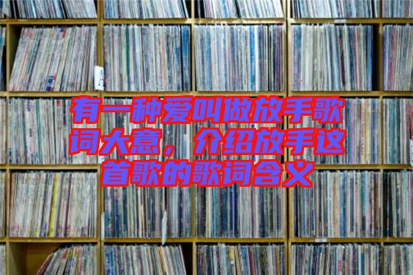 有一種愛叫做放手歌詞大意，介紹放手這首歌的歌詞含義