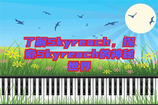 了解Skyreach，探索Skyreach的神秘世界