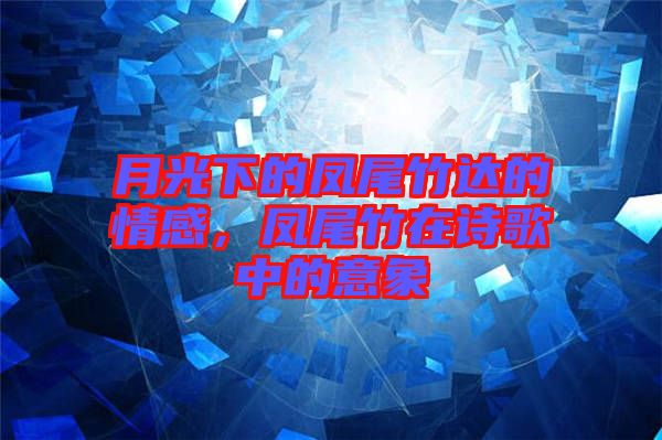 月光下的鳳尾竹達的情感，鳳尾竹在詩歌中的意象