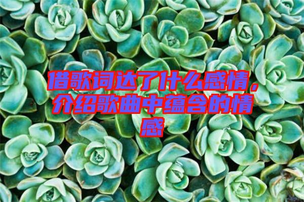 借歌詞達(dá)了什么感情，介紹歌曲中蘊(yùn)含的情感