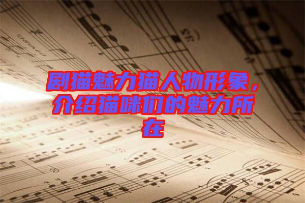 劇貓魅力貓人物形象，介紹貓咪們的魅力所在