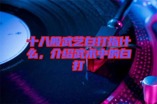 十八般武藝白打指什么，介紹武術中的白打