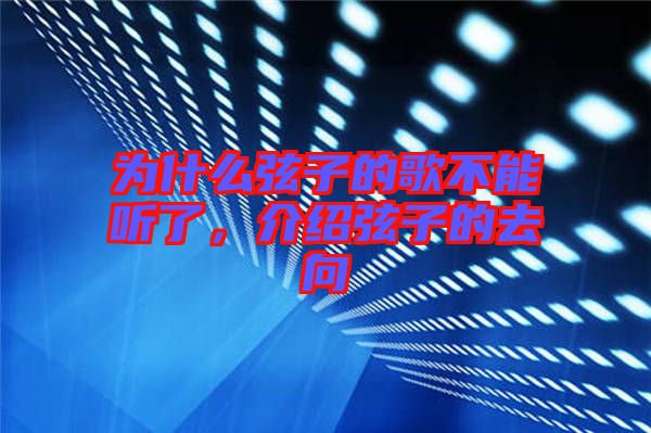 為什么弦子的歌不能聽了，介紹弦子的去向