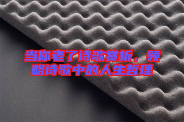 當(dāng)你老了詩(shī)歌賞析，領(lǐng)略詩(shī)歌中的人生哲理