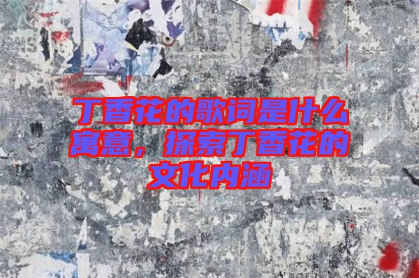 丁香花的歌詞是什么寓意，探索丁香花的文化內(nèi)涵