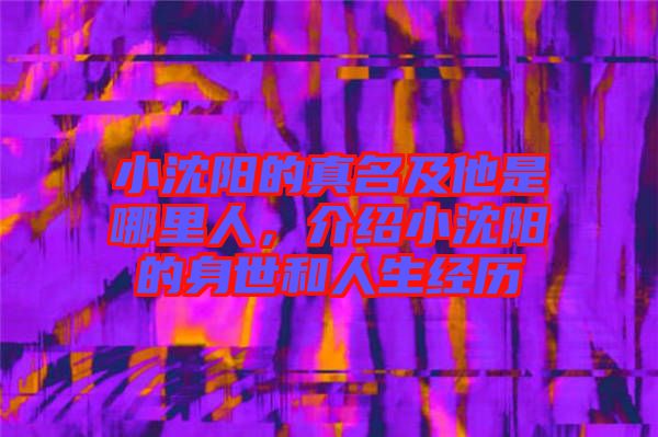 小沈陽(yáng)的真名及他是哪里人，介紹小沈陽(yáng)的身世和人生經(jīng)歷