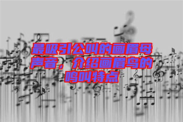 最吸引公叫的畫(huà)眉母聲音，介紹畫(huà)眉鳥(niǎo)的鳴叫特點(diǎn)